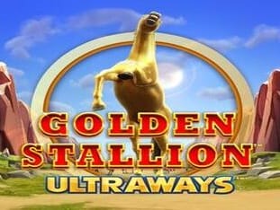 Golden Stallion thumbnail